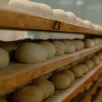 Bollitos de pan